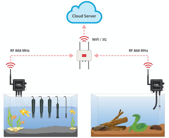 IoT Illustration