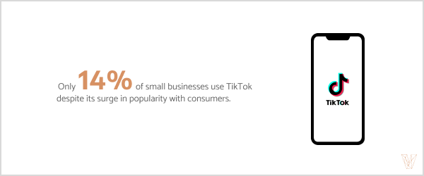 Only 14% of small businesses use TikTok despite its surge in popularity with consumers.