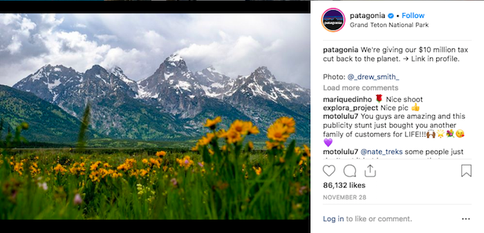Patagonia Support Social Causes