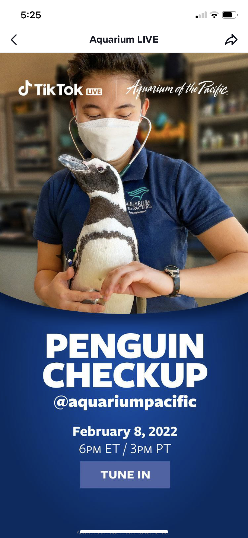 Penguin checkup TikTok ads example