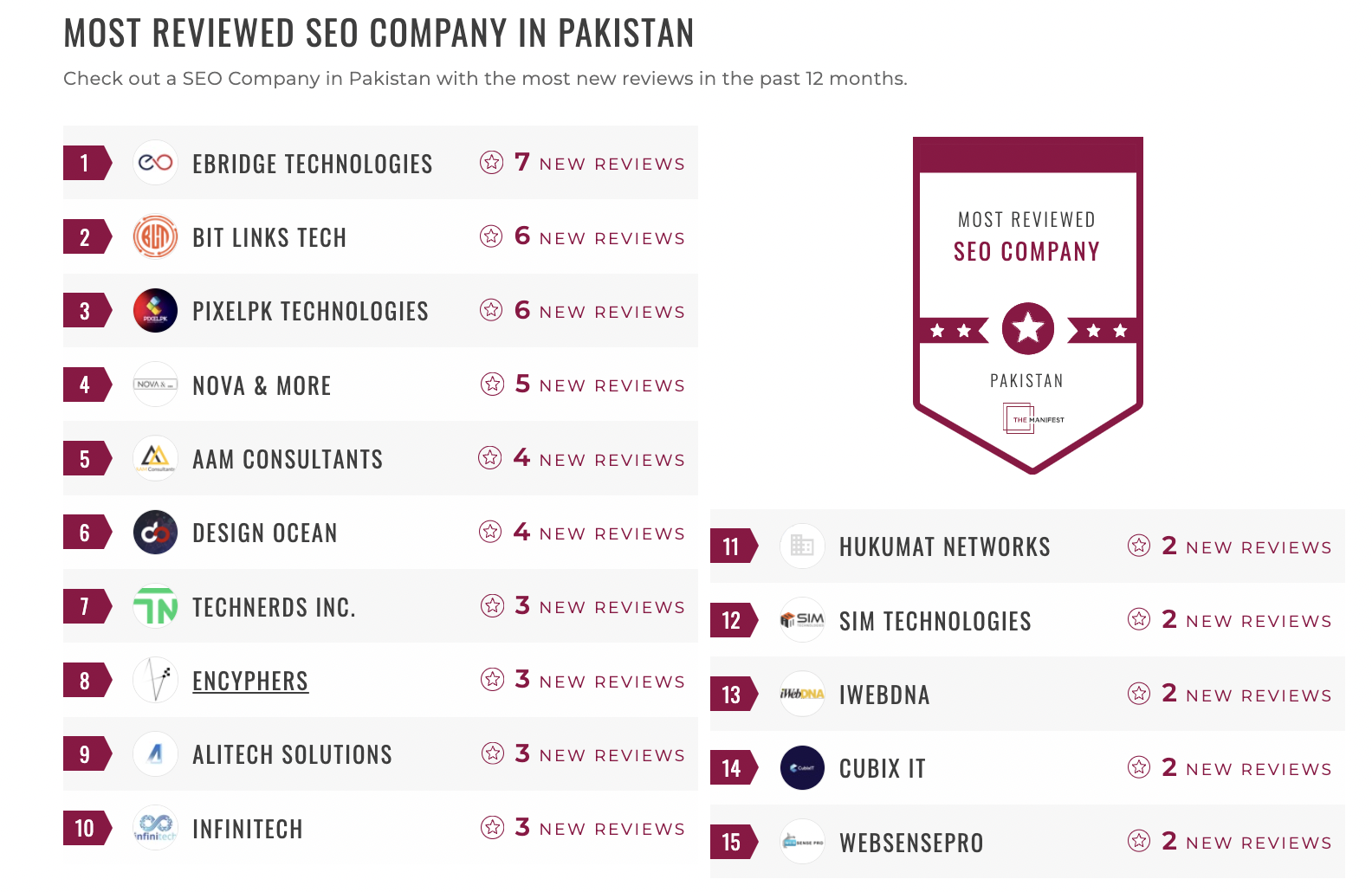 Pakistan SEO Leaders