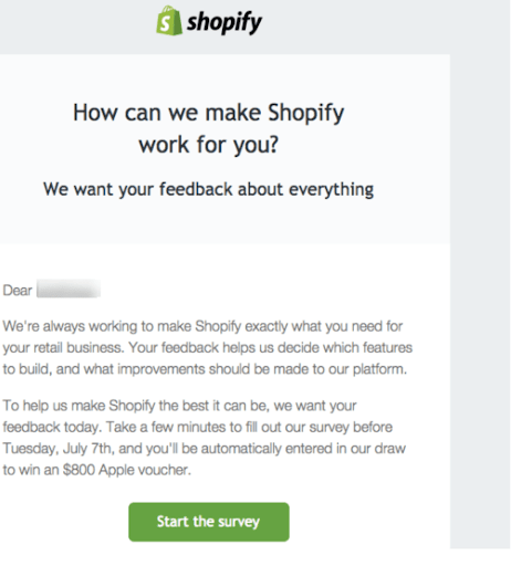 Shopify example of a feedback email 