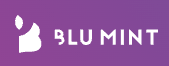 Blu Mint Digital