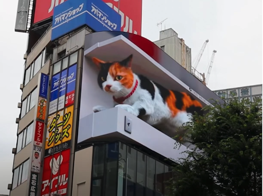 3D Cat Ad