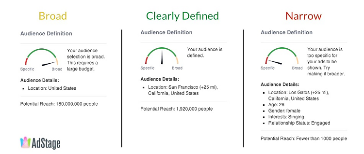 dashboard showing Facebook advertising audience