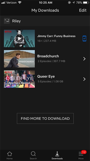 Screenshot of Netflix's downloaded content