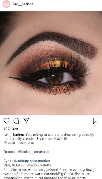 Lux Lashes know who its audience is and chooses influencers who match its audience's interests.