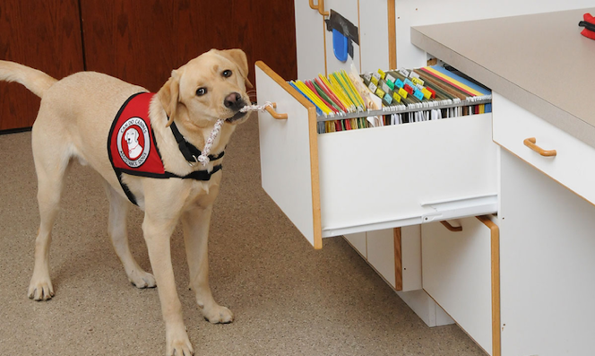 Hearing and Service Dogs of Minnesota joined forces with another organization.