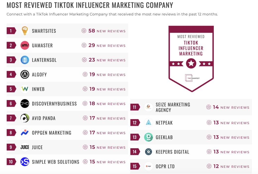 TikTok Influencer Marketing