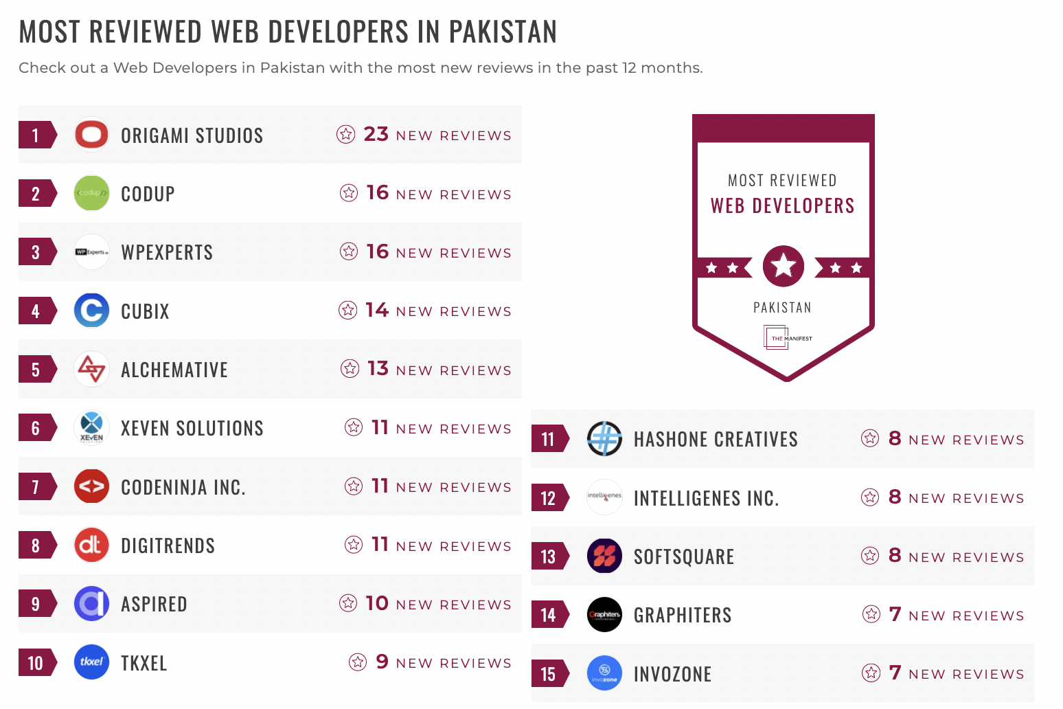 Pakistan Web Development Leaders