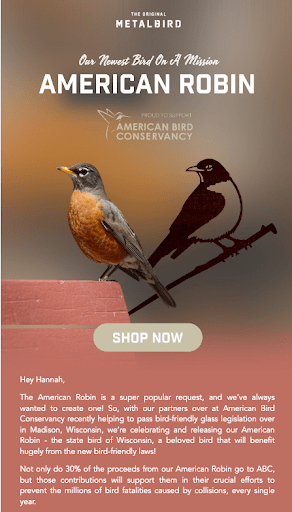 Personalized Metalbird email