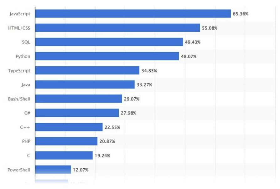 widest used development languages among developers