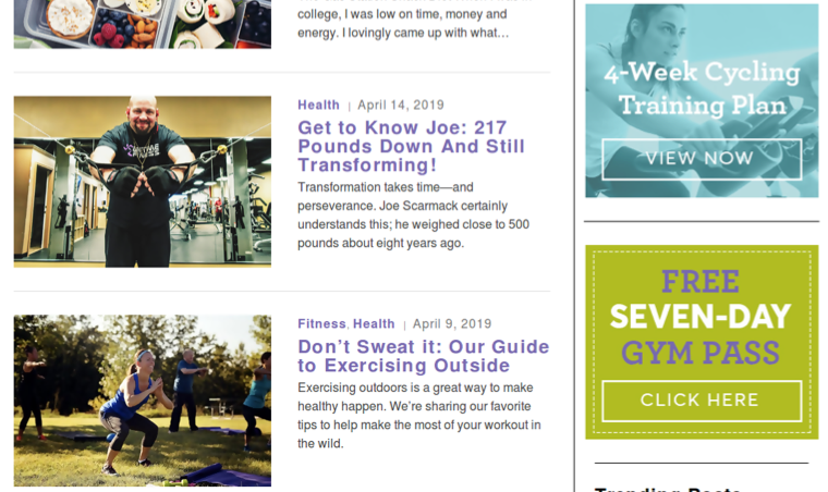anytime fitness blog lead magnet examples