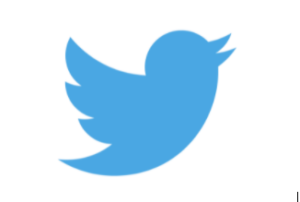 Twitter Blue Bird Brand Mark