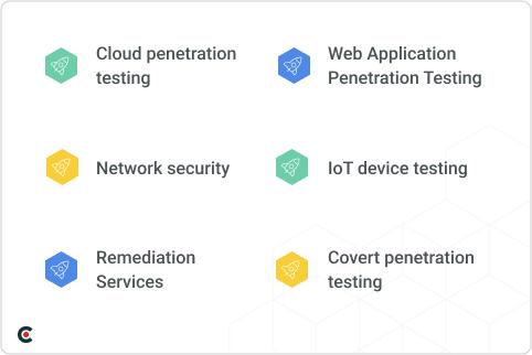 Penetration Testing Services Guide